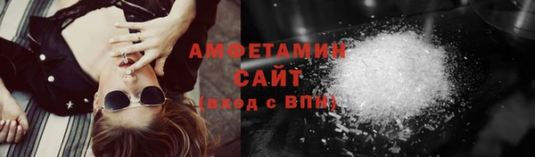 индика Бородино