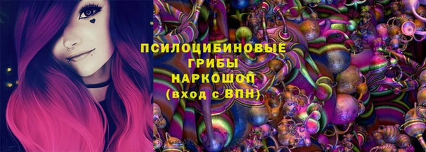 шишки Снежинск