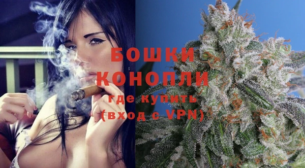 spice Снежногорск