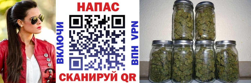 OMG ТОР  Жигулёвск  Бошки марихуана VHQ 